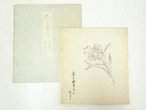 久田家十二代尋牛斎筆　芥子図　肉筆色紙